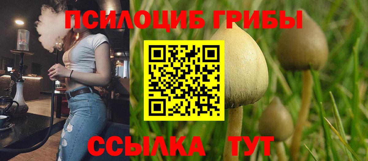 Псилоцибиновые грибы Magic Shrooms  Вход с VPN  Аша 